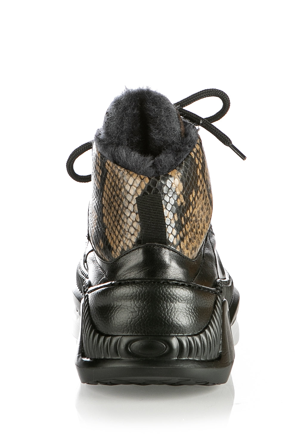 6853 Roberto Botticelli Sneakers / Brown