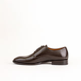 9156 Roberto Cavalli Shoes / Brown